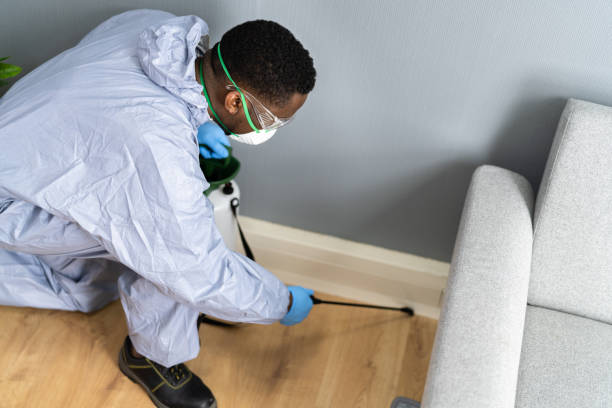 Real Estate Pest Inspections in Iron Mountain, MI